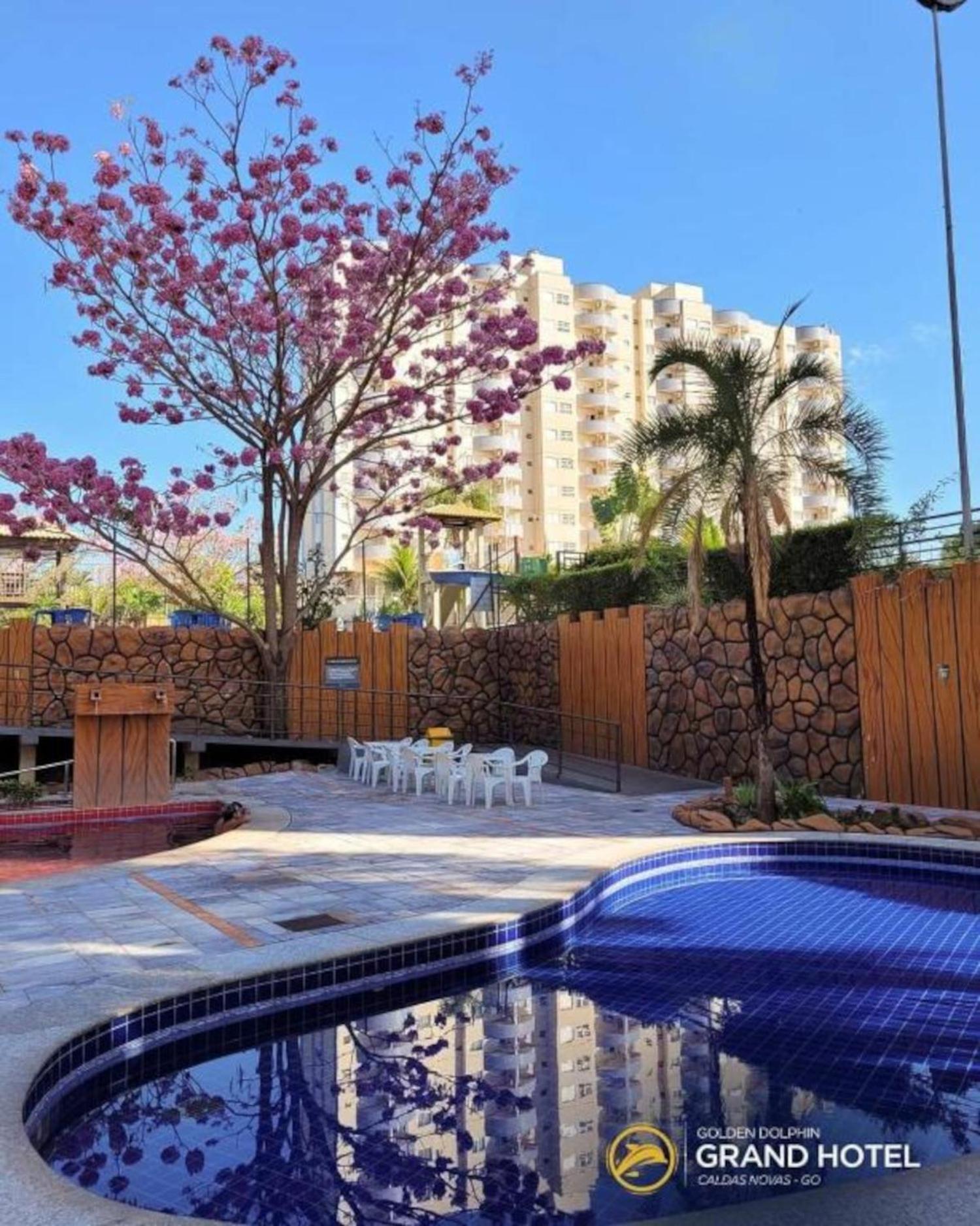 Apartment Caldas Novas, Golden Dolphin Grand Hotel, Sala Cozinha Aconchegante, Ap 361